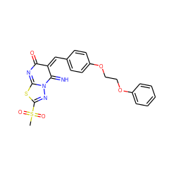 CS(=O)(=O)C1=NN2C(=N)/C(=C\c3ccc(OCCOc4ccccc4)cc3)C(=O)N=C2S1 ZINC000015935199