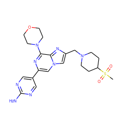 CS(=O)(=O)C1CCN(Cc2cn3cc(-c4cnc(N)nc4)nc(N4CCOCC4)c3n2)CC1 ZINC000084739575