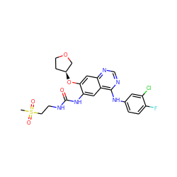 CS(=O)(=O)CCNC(=O)Nc1cc2c(Nc3ccc(F)c(Cl)c3)ncnc2cc1O[C@H]1CCOC1 ZINC000103253658