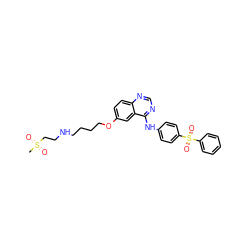 CS(=O)(=O)CCNCCCCOc1ccc2ncnc(Nc3ccc(S(=O)(=O)c4ccccc4)cc3)c2c1 ZINC000014945055