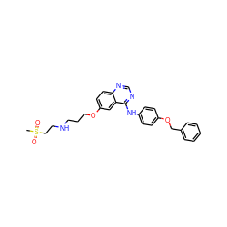 CS(=O)(=O)CCNCCCOc1ccc2ncnc(Nc3ccc(OCc4ccccc4)cc3)c2c1 ZINC000013588399