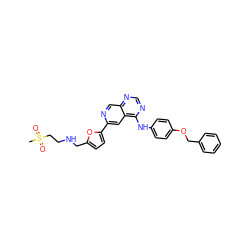 CS(=O)(=O)CCNCc1ccc(-c2cc3c(Nc4ccc(OCc5ccccc5)cc4)ncnc3cn2)o1 ZINC000001902515