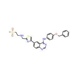 CS(=O)(=O)CCNCc1nc(-c2ccc3ncnc(Nc4ccc(OCc5ccccc5)cc4)c3c2)cs1 ZINC000014945040