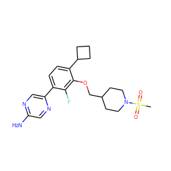 CS(=O)(=O)N1CCC(COc2c(C3CCC3)ccc(-c3cnc(N)cn3)c2F)CC1 ZINC000212128005