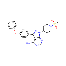CS(=O)(=O)N1CCC(n2nc(-c3ccc(Oc4ccccc4)cc3)c3c(N)ncnc32)CC1 ZINC000653793701