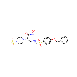 CS(=O)(=O)N1CCN([C@@H](CNCS(=O)(=O)c2ccc(OCc3ccccc3)cc2)C(=O)NO)CC1 ZINC000144286154