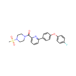 CS(=O)(=O)N1CCN(C(=O)c2cccc(-c3ccc(Oc4ccc(F)cc4)cc3)n2)CC1 ZINC000113664523