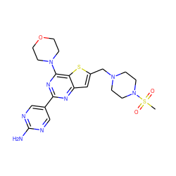 CS(=O)(=O)N1CCN(Cc2cc3nc(-c4cnc(N)nc4)nc(N4CCOCC4)c3s2)CC1 ZINC000049037663