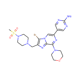 CS(=O)(=O)N1CCN(Cc2nc3c(N4CCOCC4)nc(-c4cnc(N)nc4)cn3c2Br)CC1 ZINC000084730772