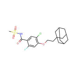 CS(=O)(=O)NC(=O)c1cc(Cl)c(OCCC23CC4CC(CC(C4)C2)C3)cc1F ZINC000206980432