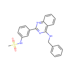 CS(=O)(=O)Nc1cccc(-c2nc(NCc3ccccc3)c3ccccc3n2)c1 ZINC000004257376