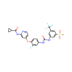 CS(=O)(=O)c1cc(NC(=O)Nc2ccc(Oc3ccnc(NC(=O)C4CC4)c3)c(F)c2)cc(C(F)(F)F)c1 ZINC001772653355