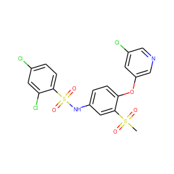 CS(=O)(=O)c1cc(NS(=O)(=O)c2ccc(Cl)cc2Cl)ccc1Oc1cncc(Cl)c1 ZINC000095591754