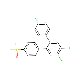 CS(=O)(=O)c1ccc(-c2cc(Cl)c(Cl)cc2-c2ccc(F)cc2)cc1 ZINC000013755788