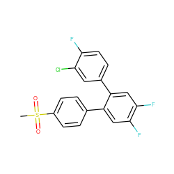 CS(=O)(=O)c1ccc(-c2cc(F)c(F)cc2-c2ccc(F)c(Cl)c2)cc1 ZINC000003814762