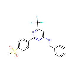 CS(=O)(=O)c1ccc(-c2nc(NCc3ccccc3)cc(C(F)(F)F)n2)cc1 ZINC000029132581