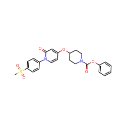 CS(=O)(=O)c1ccc(-n2ccc(OC3CCN(C(=O)Oc4ccccc4)CC3)cc2=O)cc1 ZINC000059069422