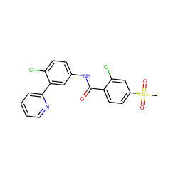 CS(=O)(=O)c1ccc(C(=O)Nc2ccc(Cl)c(-c3ccccn3)c2)c(Cl)c1 ZINC000040899447