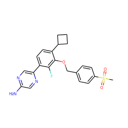 CS(=O)(=O)c1ccc(COc2c(C3CCC3)ccc(-c3cnc(N)cn3)c2F)cc1 ZINC000212168800