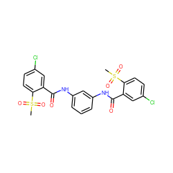 CS(=O)(=O)c1ccc(Cl)cc1C(=O)Nc1cccc(NC(=O)c2cc(Cl)ccc2S(C)(=O)=O)c1 ZINC000036338768