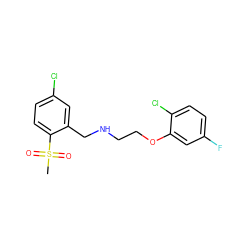 CS(=O)(=O)c1ccc(Cl)cc1CNCCOc1cc(F)ccc1Cl ZINC000205701227