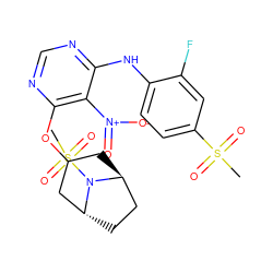 CS(=O)(=O)c1ccc(Nc2ncnc(OC3C[C@H]4CC[C@H](C3)N4S(C)(=O)=O)c2[N+](=O)[O-])c(F)c1 ZINC001772620453