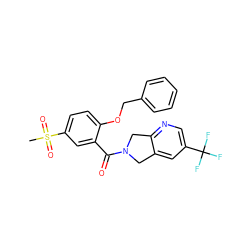 CS(=O)(=O)c1ccc(OCc2ccccc2)c(C(=O)N2Cc3cc(C(F)(F)F)cnc3C2)c1 ZINC000066252148