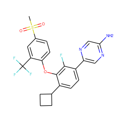 CS(=O)(=O)c1ccc(Oc2c(C3CCC3)ccc(-c3cnc(N)cn3)c2F)c(C(F)(F)F)c1 ZINC000224570067