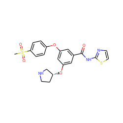 CS(=O)(=O)c1ccc(Oc2cc(O[C@@H]3CCNC3)cc(C(=O)Nc3nccs3)c2)cc1 ZINC000043073219