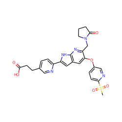 CS(=O)(=O)c1ccc(Oc2cc3cc(-c4ccc(CCC(=O)O)cn4)[nH]c3nc2CN2CCCC2=O)cn1 ZINC000209685365