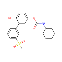 CS(=O)(=O)c1cccc(-c2cc(OC(=O)NC3CCCCC3)ccc2O)c1 ZINC000096273120