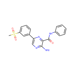 CS(=O)(=O)c1cccc(-c2cnc(N)c(C(=O)Nc3ccccc3)n2)c1 ZINC000071317225