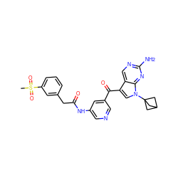 CS(=O)(=O)c1cccc(CC(=O)Nc2cncc(C(=O)c3cn(C45CC(C4)C5)c4nc(N)ncc34)c2)c1 ZINC000169686344