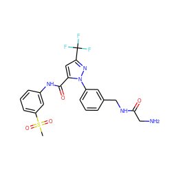 CS(=O)(=O)c1cccc(NC(=O)c2cc(C(F)(F)F)nn2-c2cccc(CNC(=O)CN)c2)c1 ZINC000040915980