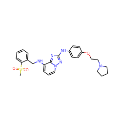 CS(=O)(=O)c1ccccc1CNc1cccn2nc(Nc3ccc(OCCN4CCCC4)cc3)nc12 ZINC000148207789