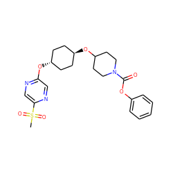 CS(=O)(=O)c1cnc(O[C@H]2CC[C@H](OC3CCN(C(=O)Oc4ccccc4)CC3)CC2)cn1 ZINC000473104982