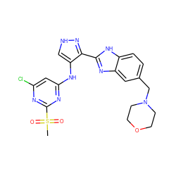 CS(=O)(=O)c1nc(Cl)cc(Nc2c[nH]nc2-c2nc3cc(CN4CCOCC4)ccc3[nH]2)n1 ZINC000096271625