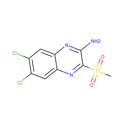 CS(=O)(=O)c1nc2cc(Cl)c(Cl)cc2nc1N ZINC000028950997