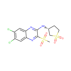 CS(=O)(=O)c1nc2cc(Cl)c(Cl)cc2nc1N[C@@H]1CCS(=O)(=O)C1 ZINC000028951088