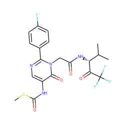 CSC(=O)Nc1cnc(-c2ccc(F)cc2)n(CC(=O)N[C@@H](C(=O)C(F)(F)F)C(C)C)c1=O ZINC000001535351