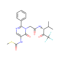 CSC(=O)Nc1cnc(-c2ccccc2)n(CC(=O)N[C@@H](C(=O)C(F)(F)F)C(C)C)c1=O ZINC000001535350