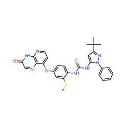 CSc1cc(Oc2ccnc3[nH]c(=O)cnc23)ccc1NC(=O)Nc1cc(C(C)(C)C)nn1-c1ccccc1 ZINC000043205801