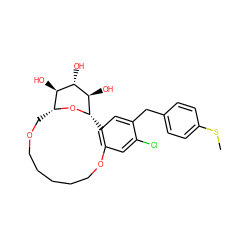 CSc1ccc(Cc2cc3c(cc2Cl)OCCCCCOC[C@H]2O[C@@H]3[C@H](O)[C@@H](O)[C@@H]2O)cc1 ZINC000072116285