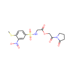 CSc1ccc(S(=O)(=O)NCC(=O)OCC(=O)N2CCCC2=O)cc1[N+](=O)[O-] ZINC000009550552