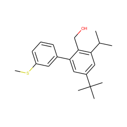 CSc1cccc(-c2cc(C(C)(C)C)cc(C(C)C)c2CO)c1 ZINC000073312063