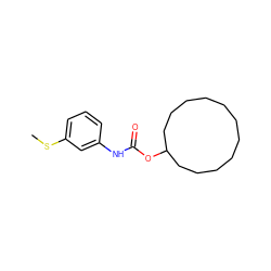 CSc1cccc(NC(=O)OC2CCCCCCCCCCC2)c1 ZINC000003954507