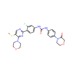 CSc1cnc(-c2ccc(NC(=O)Nc3ccc(N4CCOCC4=O)cc3)cc2F)nc1N1CCOCC1 ZINC000198463781