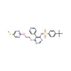 CSc1cnc(OCCOc2ncnc(NS(=O)(=O)c3ccc(C(C)(C)C)cc3)c2-c2ccncc2)nc1 ZINC000027074148