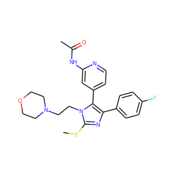 CSc1nc(-c2ccc(F)cc2)c(-c2ccnc(NC(C)=O)c2)n1CCN1CCOCC1 ZINC000013586234