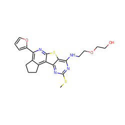 CSc1nc(NCCOCCO)c2sc3nc(-c4ccco4)c4c(c3c2n1)CCC4 ZINC000002454138